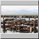 Dieser Pier ist besetzt!